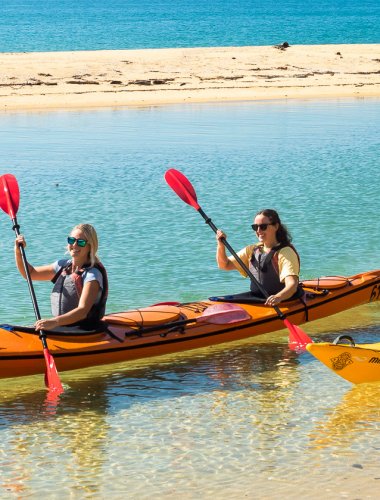Marahau Sea Kayaks - Abel Tasman guided kayak & walk